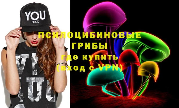 гашик Кинешма