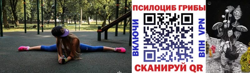 Купить закладки  Балтийск  Псилоцибиновые грибы мухоморы 