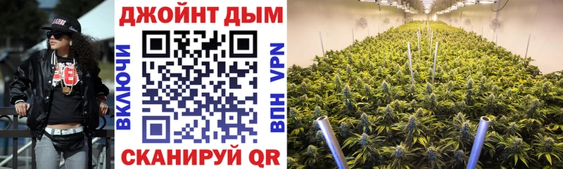 Купить  Балтийск  Бошки Шишки марихуана 